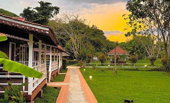 a well - maintained garden with a pathway leading to a wooden house , surrounded by lush greenery at Holiday Resort