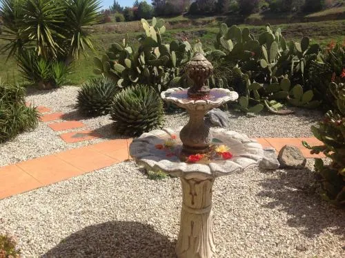 瑪普山住宿加早餐旅館