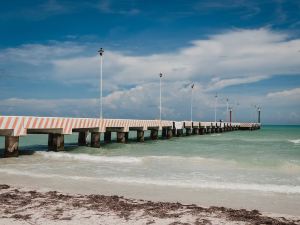 "beachfront Palapa in El Cuyo, Best Views"