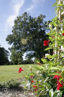 Seven Oaks Inn Bed and Breakfast