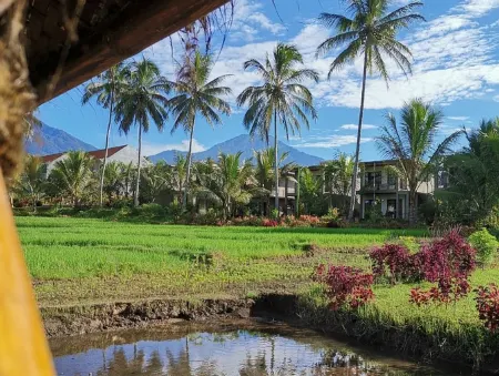 Grand Harvest Resort & Villas - Ijen