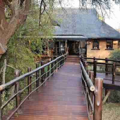 Madikwe River Lodge Hotel Exterior