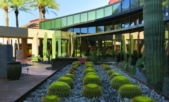 a large , modern building with a glass facade and numerous cacti in front of it at Harrah's Ak-Chin Casino Resort