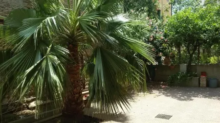 戴夫住宿加早餐旅館