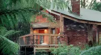 Woodlands Rainforest Retreat