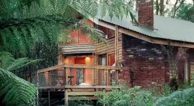 Woodlands Rainforest Retreat
