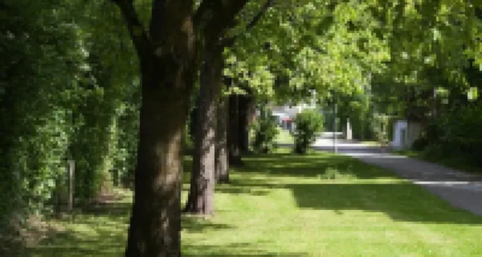 弗洛克尼爾民宿