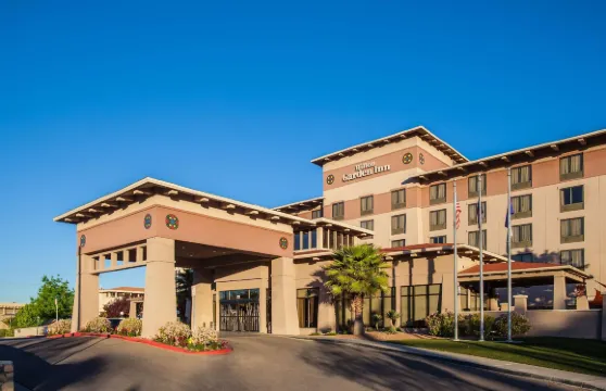 埃爾帕索希爾頓花園酒店/大學