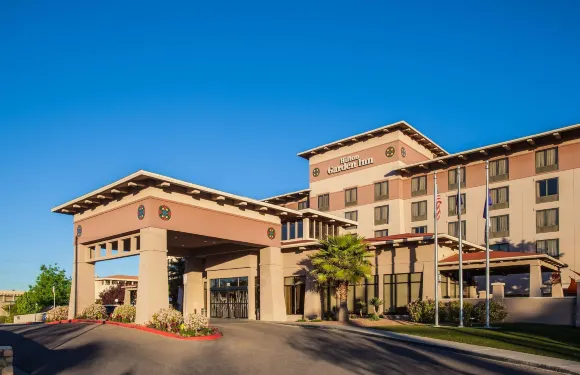 埃爾帕索希爾頓花園酒店/大學