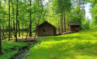 Bean Creek Cabins