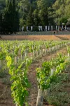 Rondaia Suites & Villas Hotels in Esporles