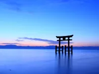 Shirahamaso - Pet friendly