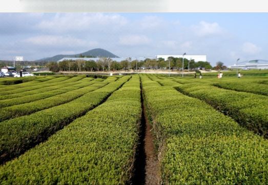 제주 또올레펜션 객실 주방 사진