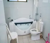 The Golden Pigeon Hotel and Spa - 4-Star
