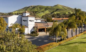 The Wayfarer San Luis Obispo, Tapestry by Hilton