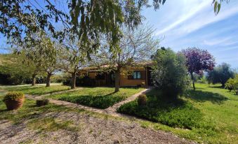 a house surrounded by trees and bushes , with a dirt path leading up to the entrance at Nord