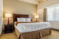 Inn at the Highland Denver Downtown Hotel in zona Six Flags Elitch Gardens