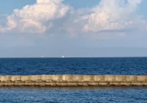 Seagull East Coast Awaji