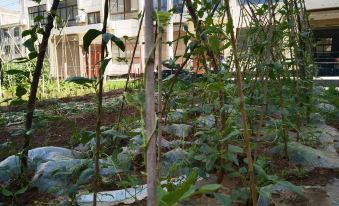 Qinxin Home-style Homestay