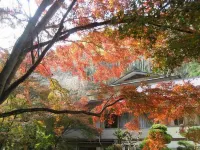 Yoshinoonsen Motoyu Hotels in Yoshino