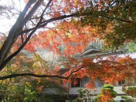 Yoshinoonsen Motoyu Отели рядом с достопримечательностью «Yoshimizu Shrine»