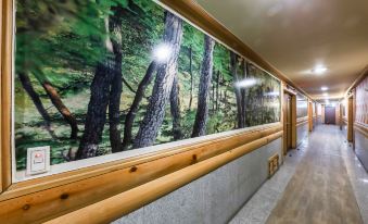 Pine Motel