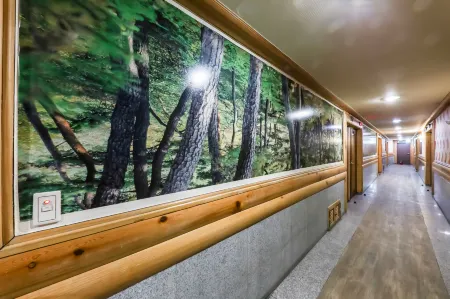 Pine Motel Отели рядом с достопримечательностью «Boryeong Mud»