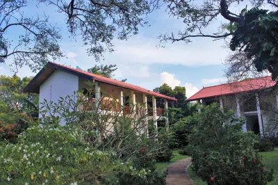 Blue Turtle Hotel Hotels near Manik Stupa