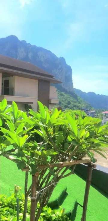 อพาร์ทเมนท์, บ้านหรืออพาร์ทเมน์ทั้งหลัง