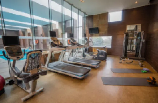 Hilton Garden Inn Santiago - Airport