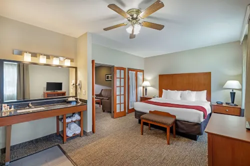 Comfort Suites North Dallas - sarapan
