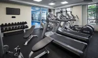 Holiday Inn & Suites OAKVILLE @ BRONTE by IHG - Gym