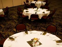 Borrego Springs Resort and Spa Hotels in Borrego Springs