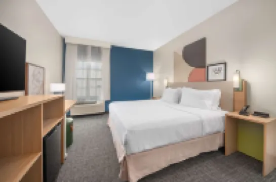 Spark by Hilton Minot