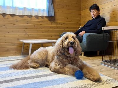 客室 京都・舞鶴ふるるファームコテージの写真