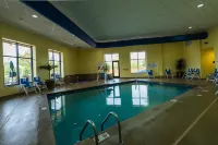 Embassy Suites by Hilton Minneapolis North - Kolam Renang