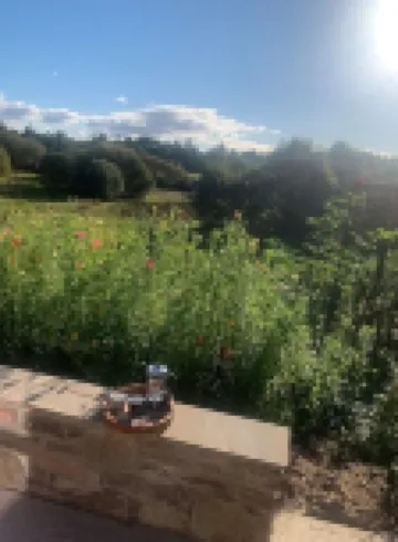 Charming stone Bothy at Loch Lomond