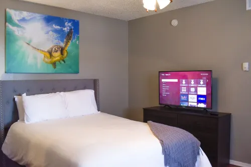 6 Mins Away Cowboy/Ranger Stadium Arlington 1bd