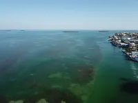 Beautiful Ocean view with 35' private seawall, 80' Heated Pool, Hottub