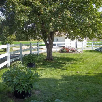 The Old Farmstead