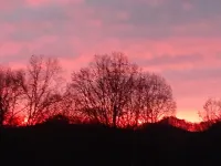 The 100 Acker Woods located in the Appalachian mountains 디컨슨 카운티 호텔