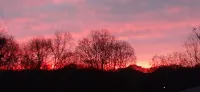 The 100 Acker Woods located in the Appalachian mountains