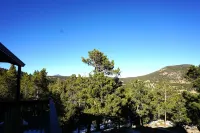 Luxury Cabin Backs Nat'l Forest– 5 Min to Rmnp Wild Basin: Hike, Fish, Wildlife!