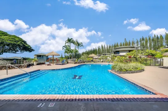 Walk to Kapalua Bay Beach, New 3Br & 4BA Bespoke Golf Villa, Ocean & Golf Views