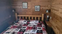 Petoskey - Quaint Cabin in a secluded wooded setting.