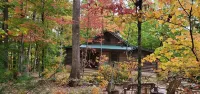 Cozy Cabin on 11 acres w/ Lake&Mtn Views. wifi, great cell svc moderated AC.