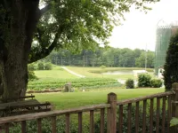 Peaceful, country setting on Fountain Hill Farm