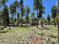 Secluded Mountain Chalet in Angel Fire Country Club - Wifi