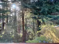 Large house Up in the Redwoods perfect for large families. Pet friendly. Hotels in Fortuna