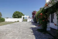 Casablanca: Rest among olive trees